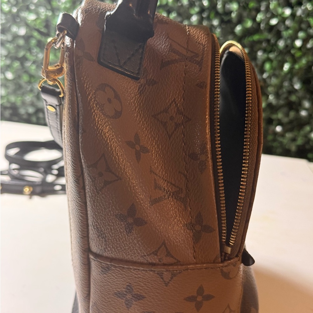 Louis Vuitton LV reverse Monogram Palm Springs Mini - Picture 6 of 16